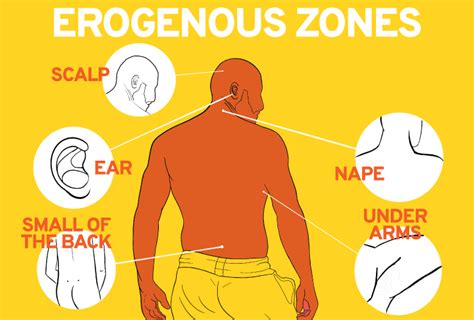 erogene zone man|Most Erogenous Zones On Your Mans Body 